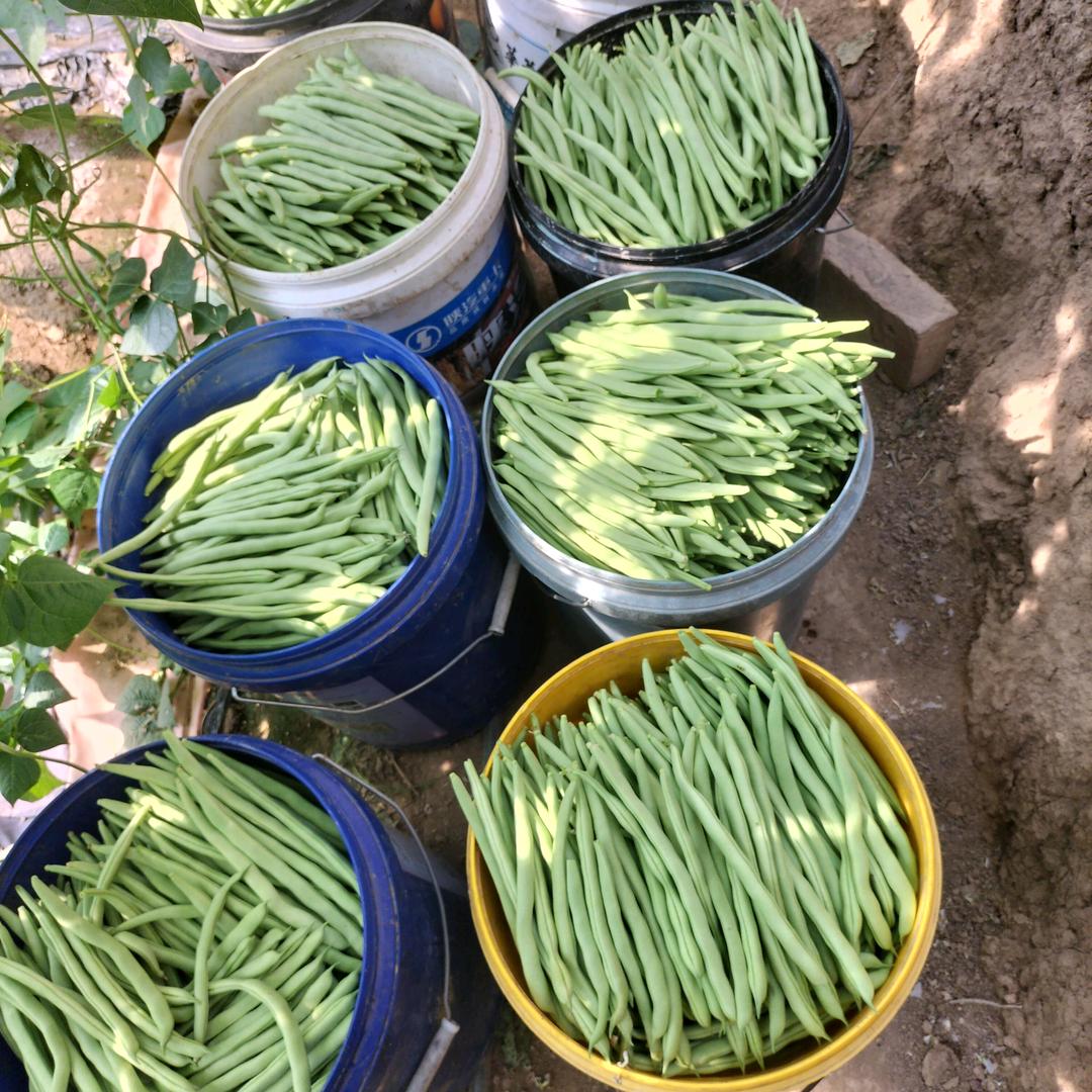 奔向未来,一定美好