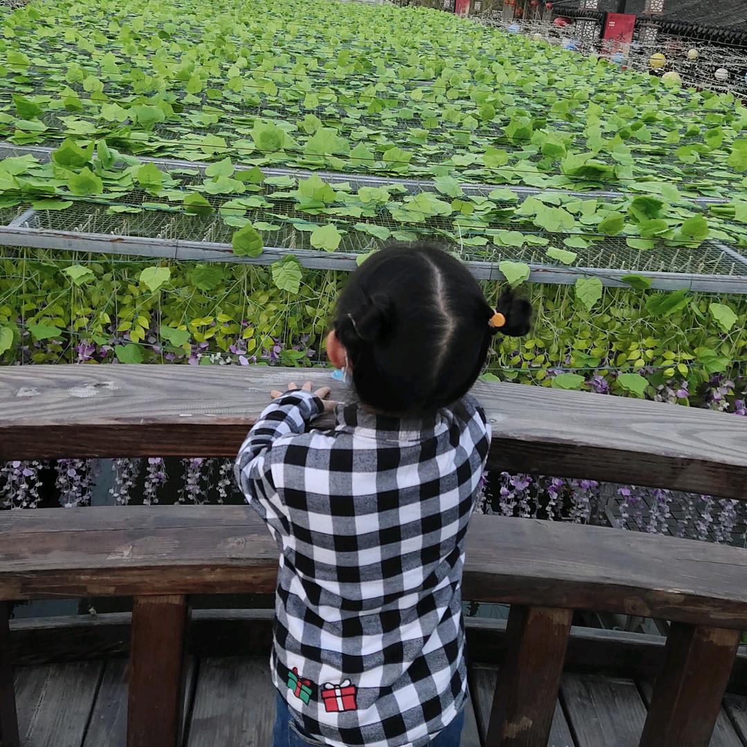 飘