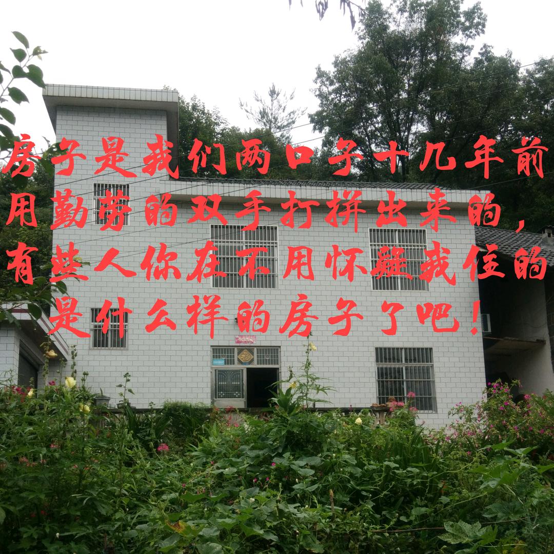 ✨爱笑的开心姐✨