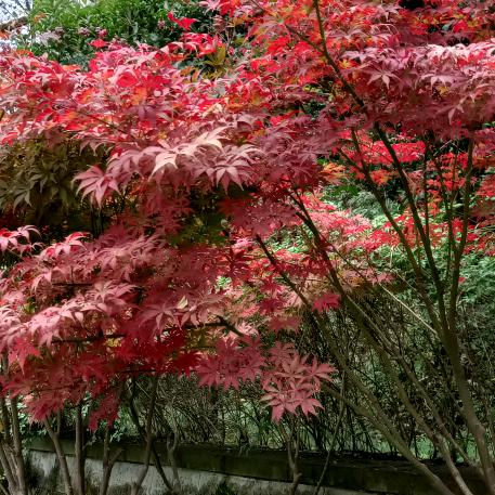 幸福快乐每一天