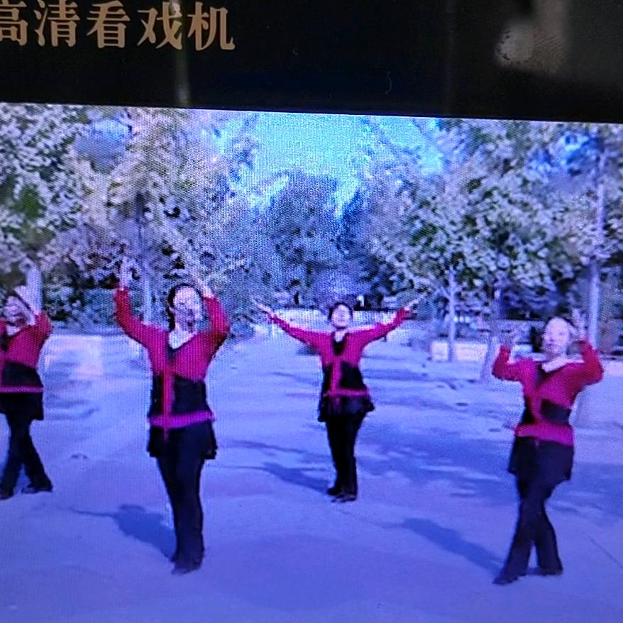 爱贞