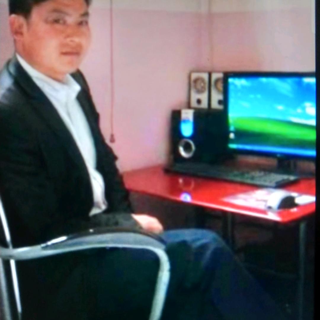 落叶爱上风