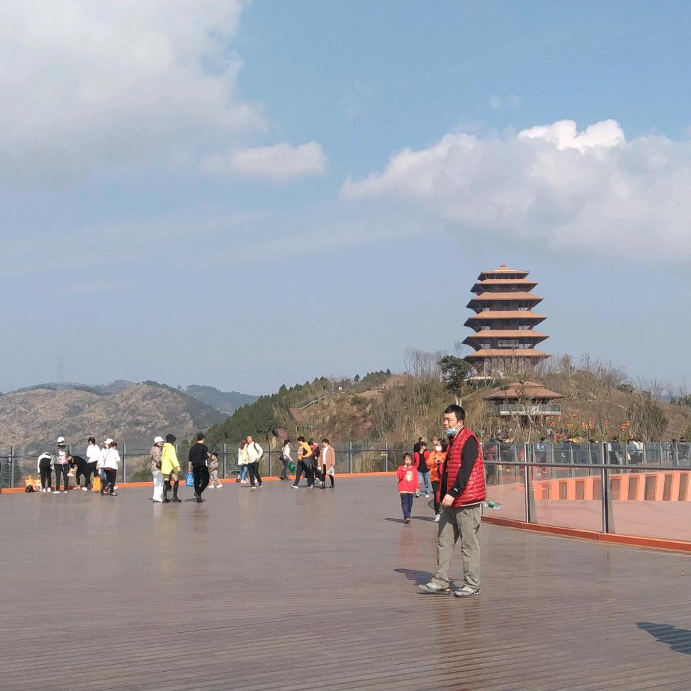 ｡ӧ◡ӧ｡舞文弄墨