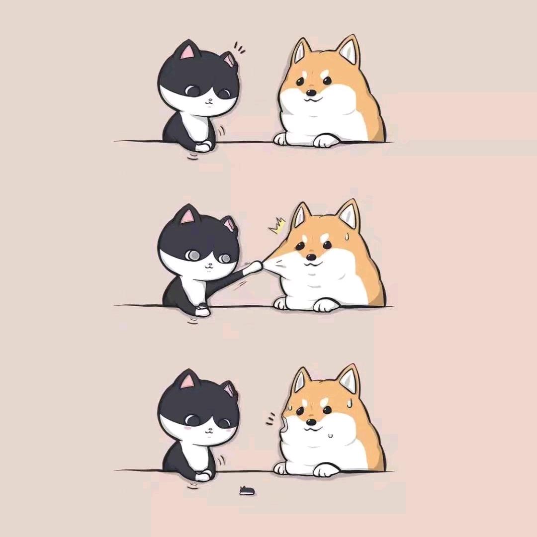 记得提醒我睡觉