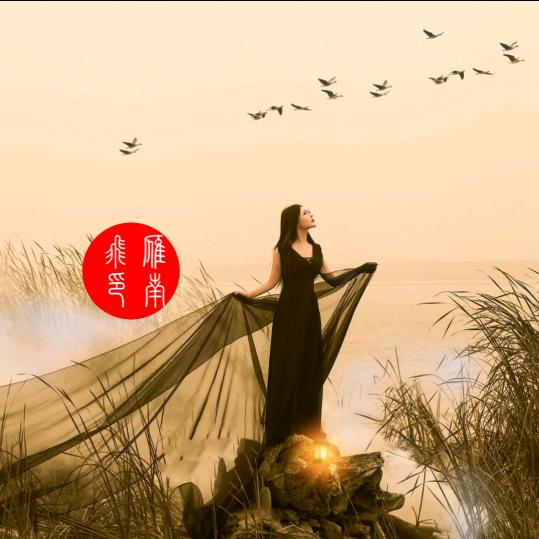 🌺姑蘇雁🌺