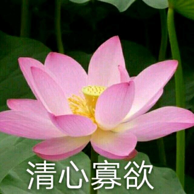 衾寒与共-