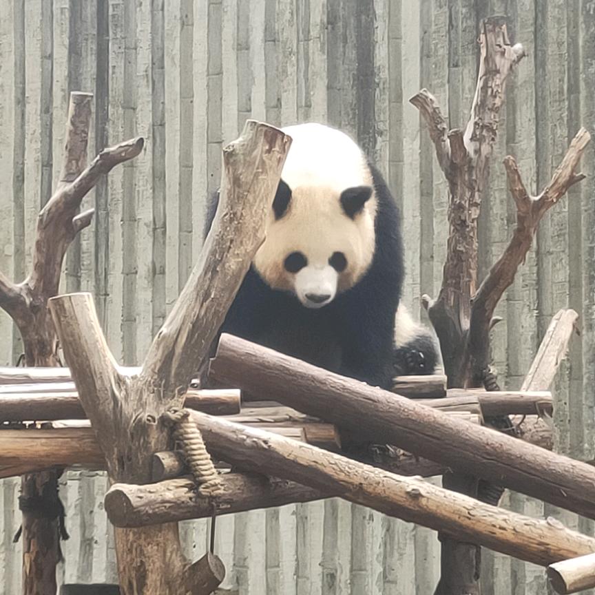 光辉