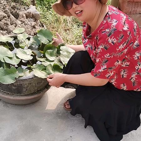 缘