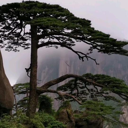 风雨