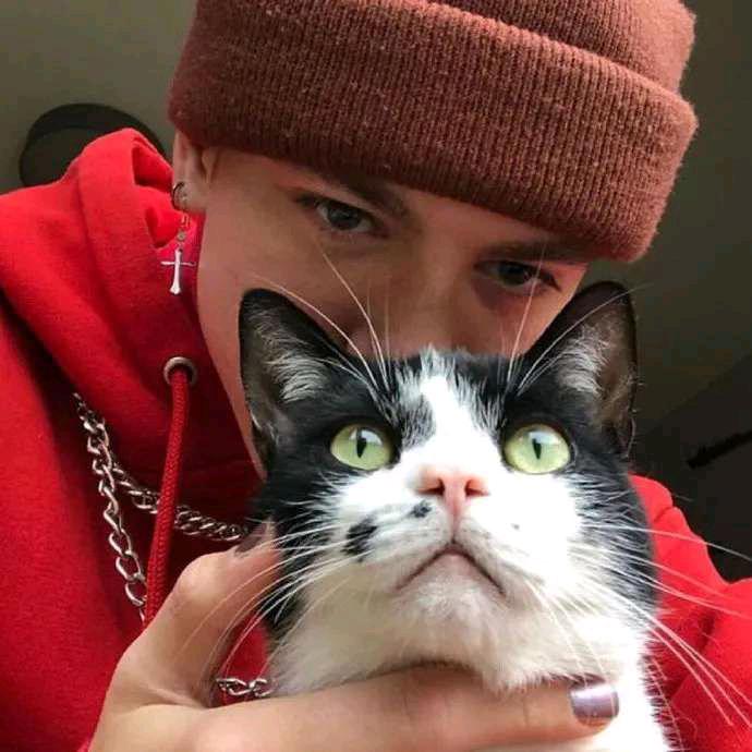 鄒權          🪳