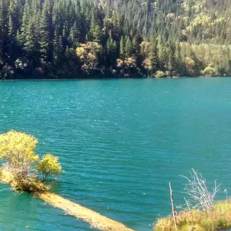 西筑封层车拌合站配件销售技术支持