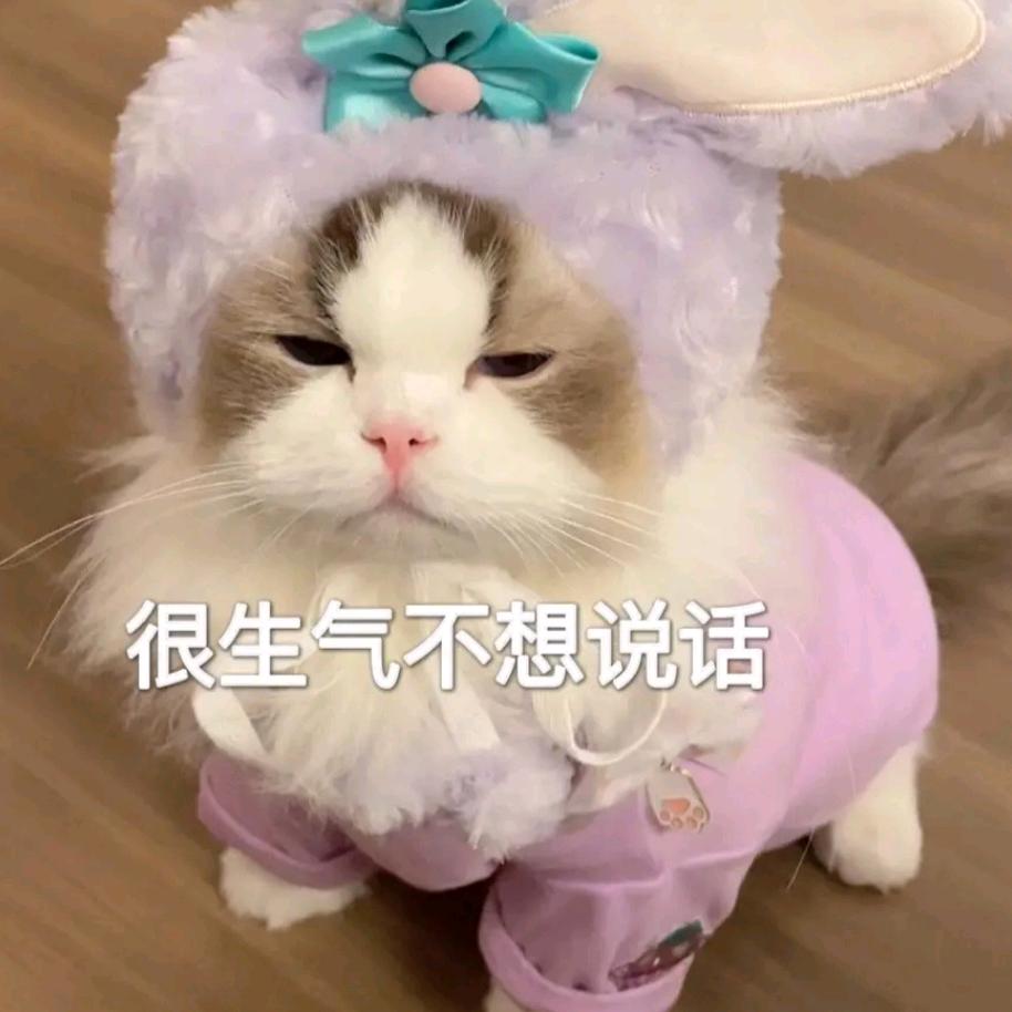 图图真可爱