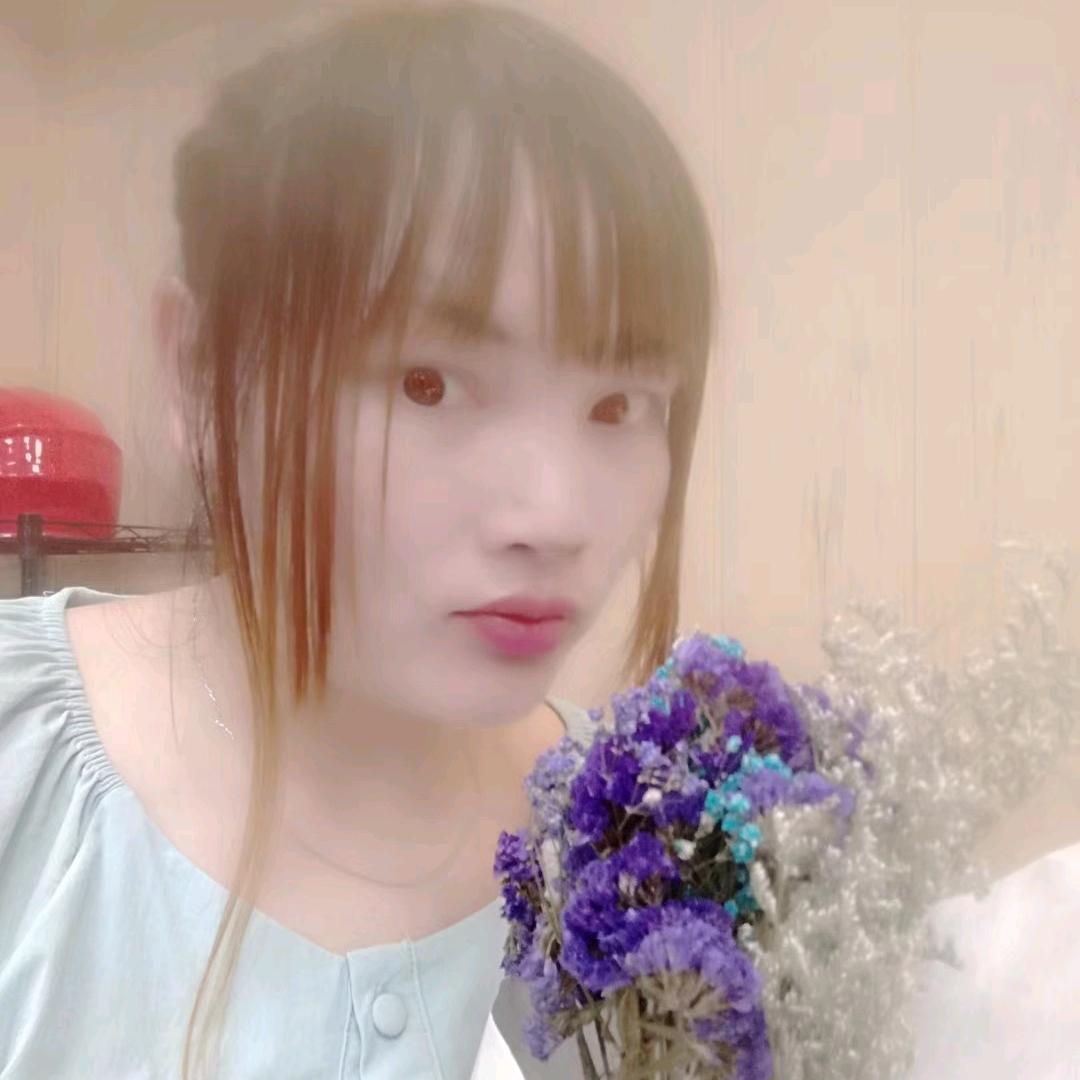 河南小菲菲