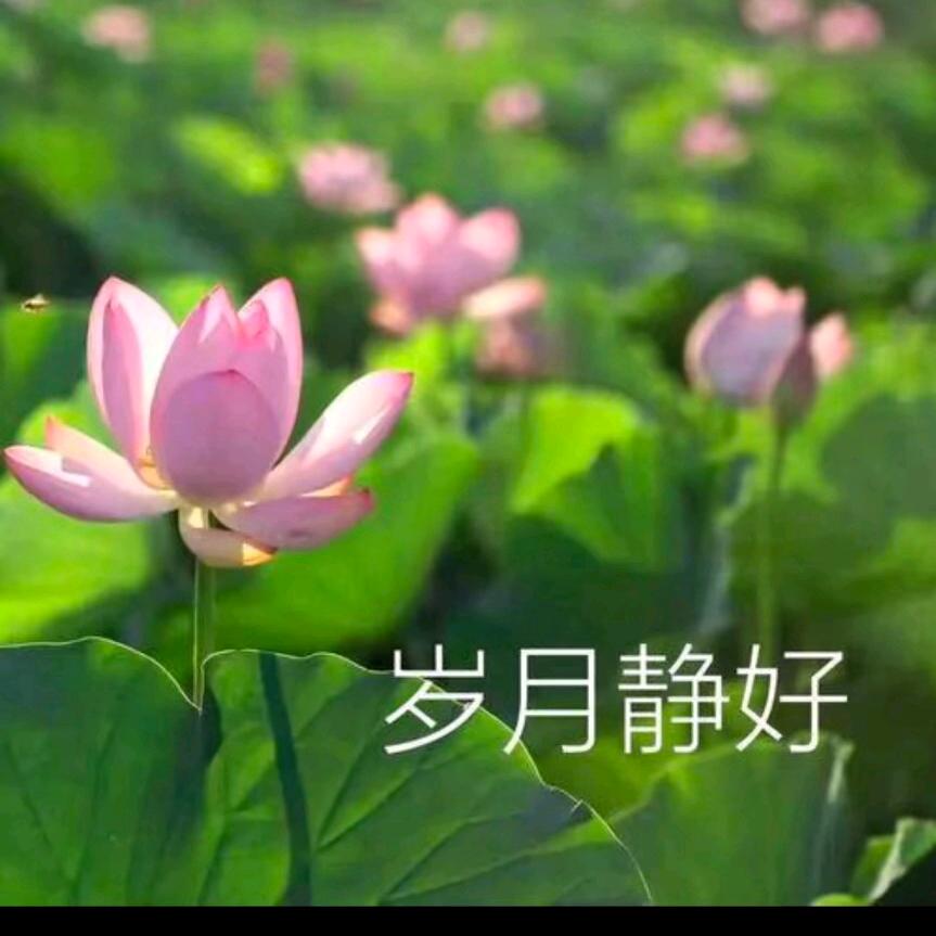 高毅飞高毅成奶奶👵🏻