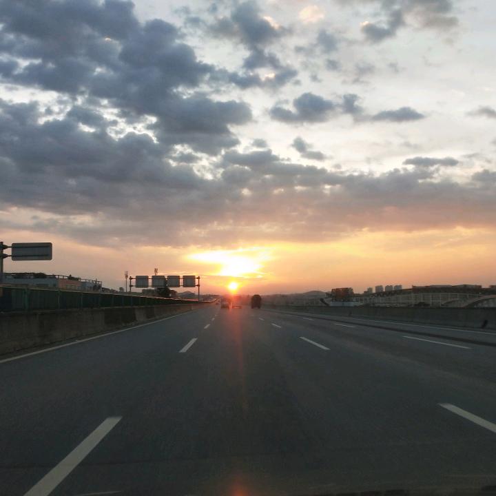 一帆枫顺