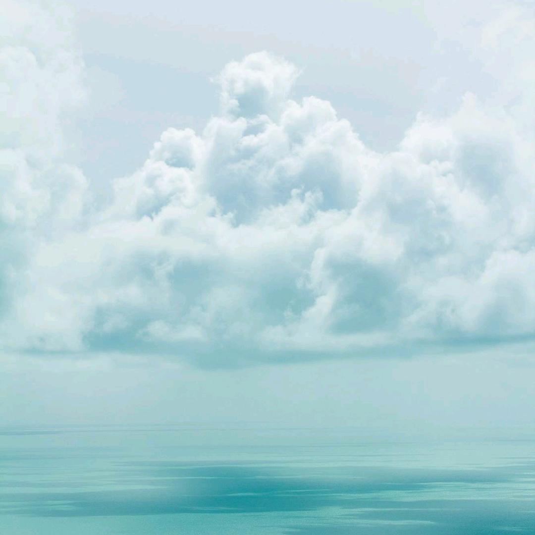 猪猪姐(✧∇✧)