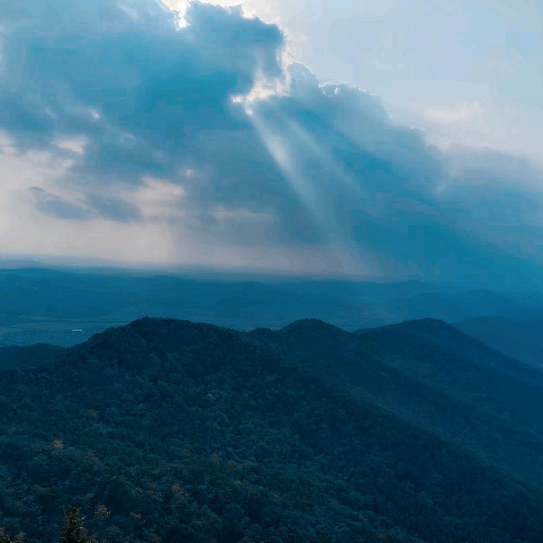 我是龙女我怕sei