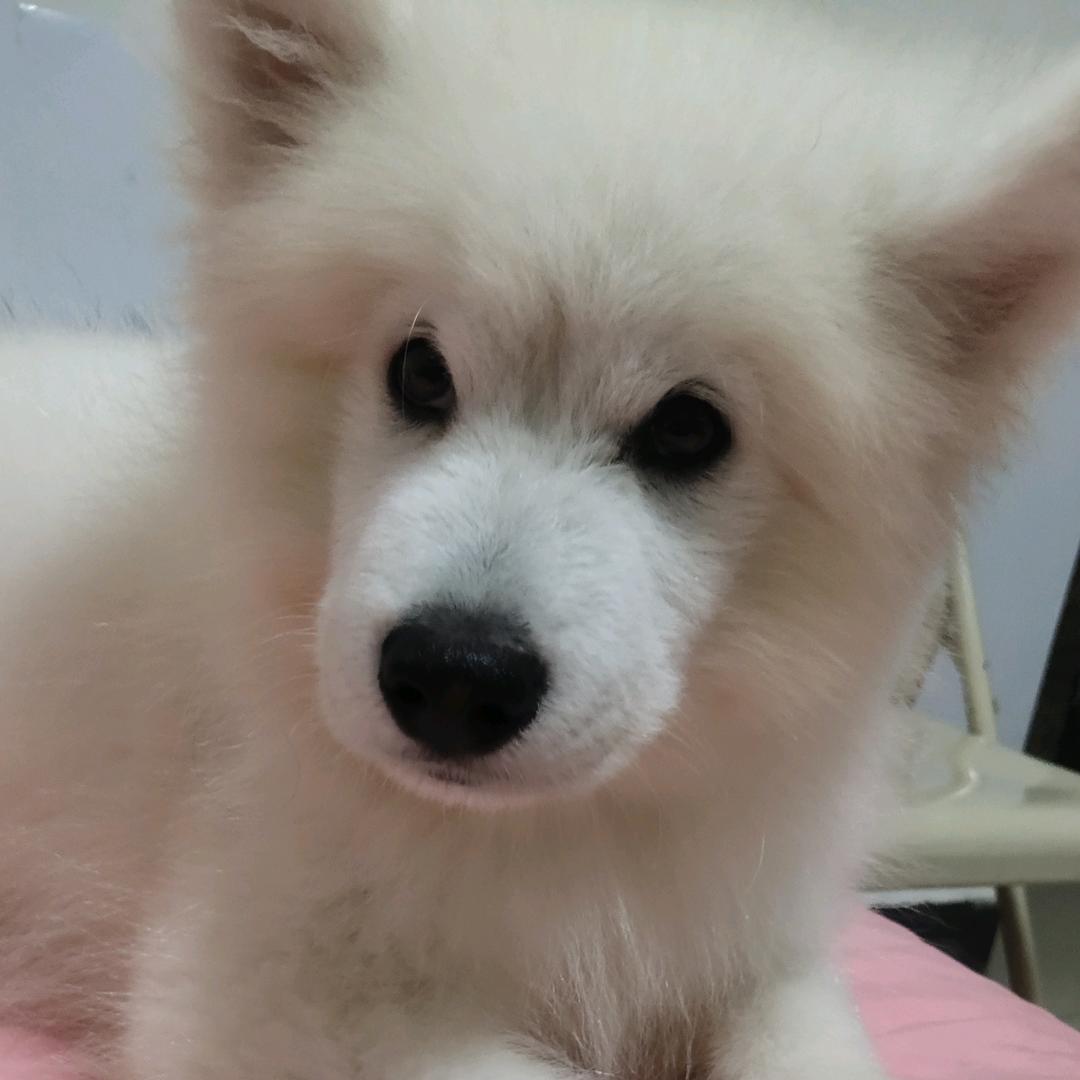 流沙あ追忆