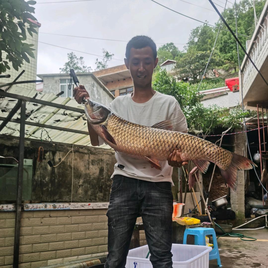 虾。兵。虾。將。