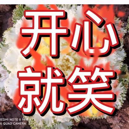 开心你就笑
