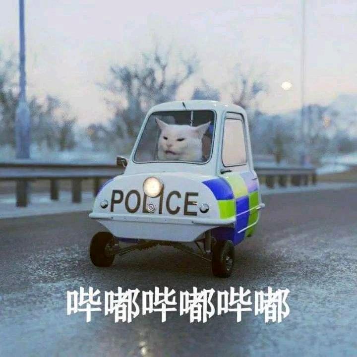 晴天天天天