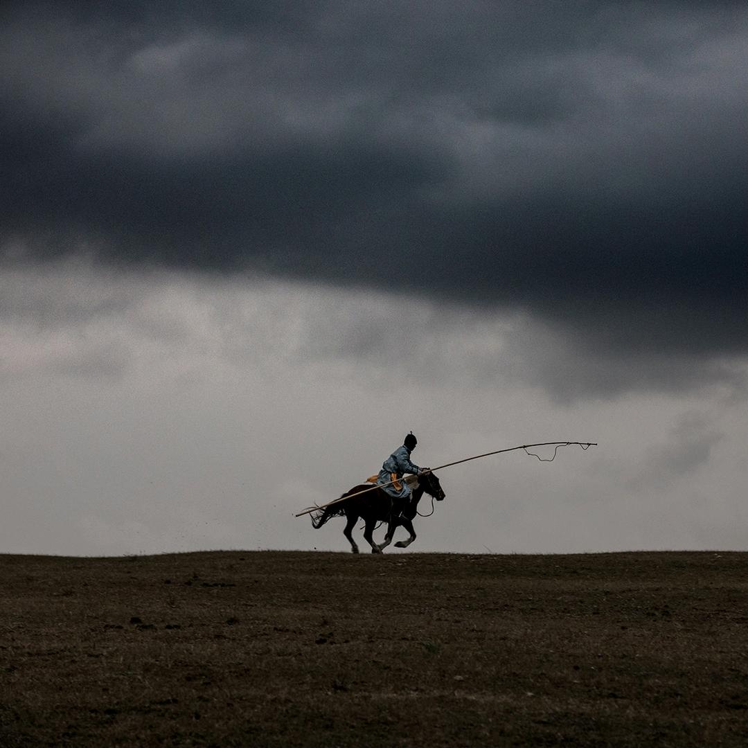 懂你🐎