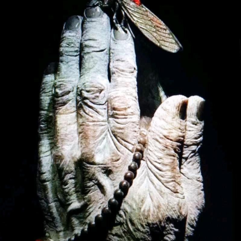 扬州~御瓷(国宝守护者)