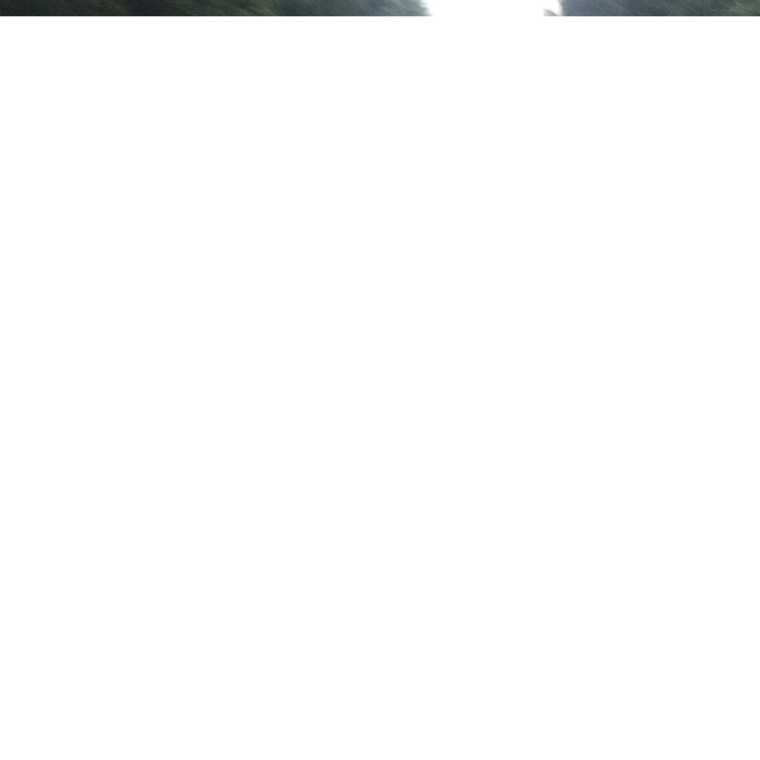 用户6763661521184王