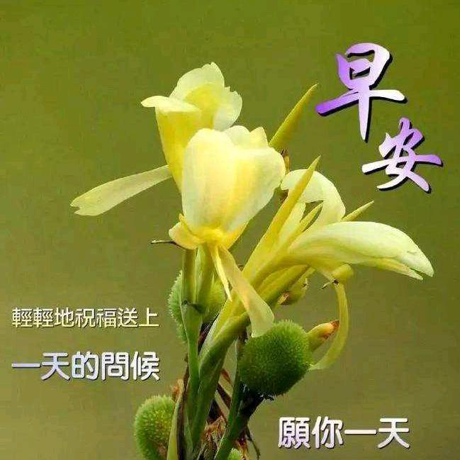 ༀ海棠未眠ༀ头像
