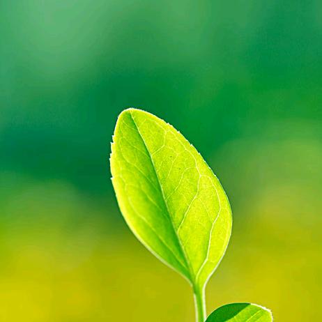 军临天下（玉林串串香杜浔店）