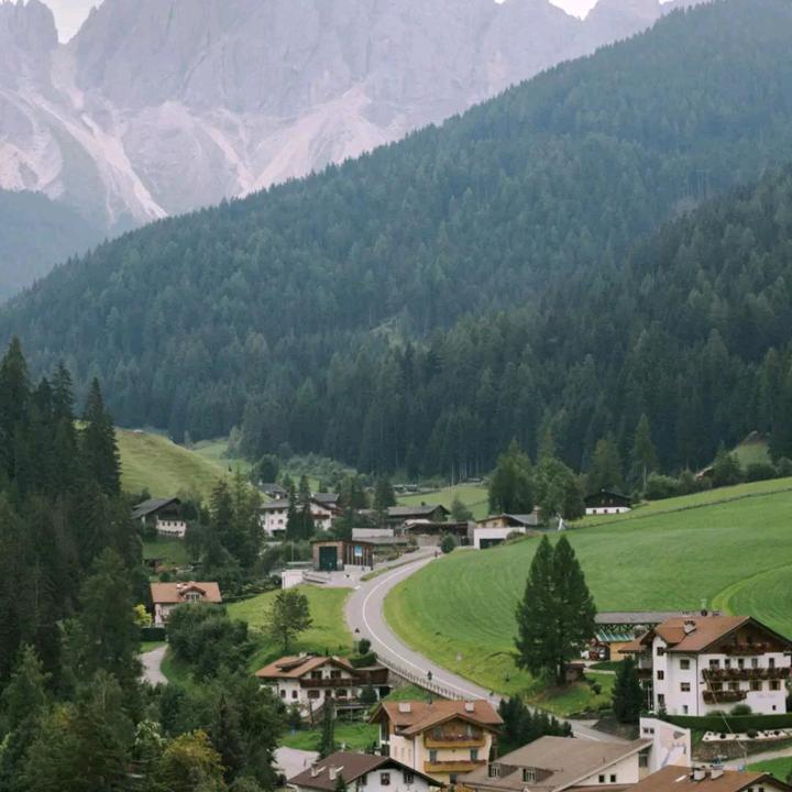 我来人间看场戏