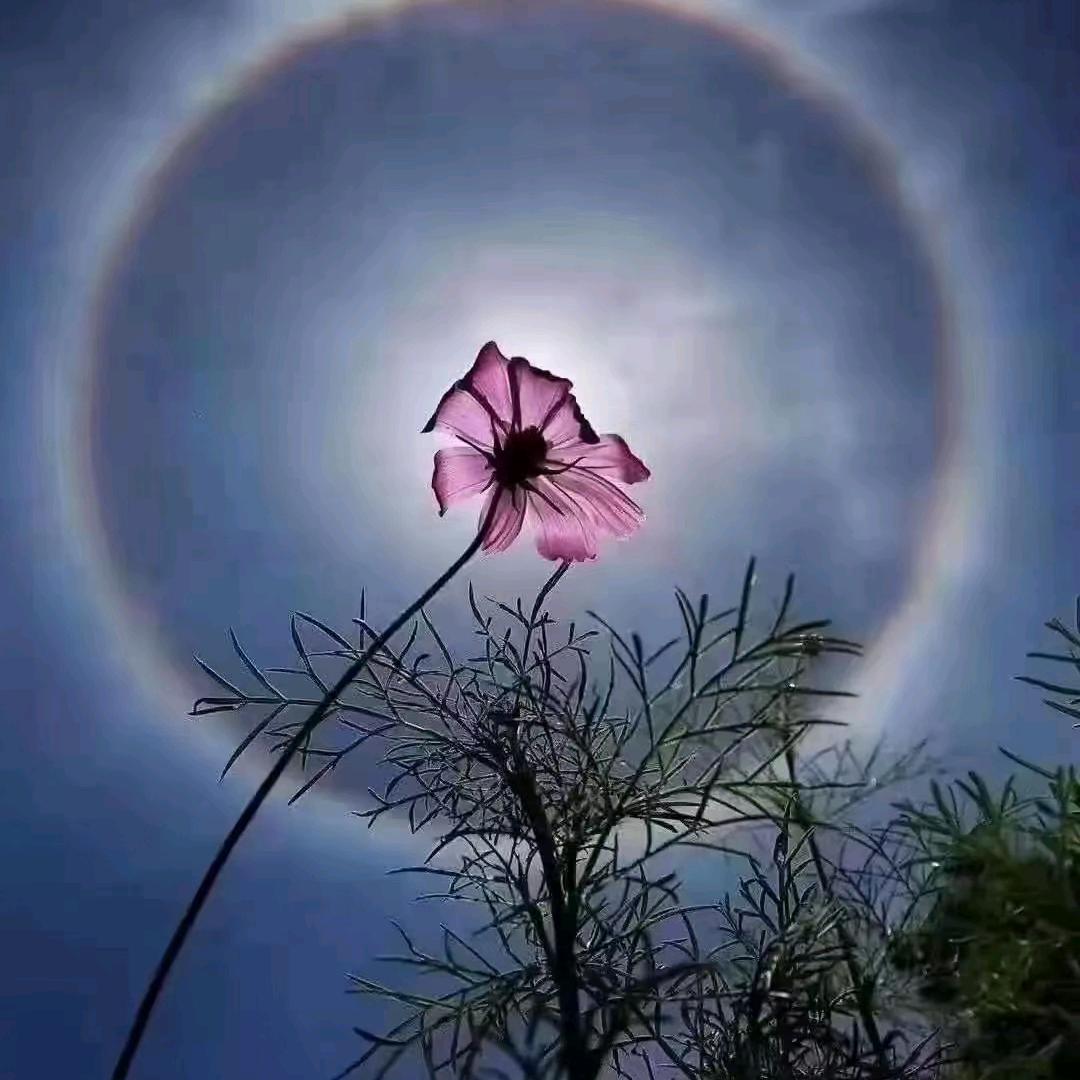 沪漂小哥
