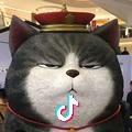 无毁的湖光