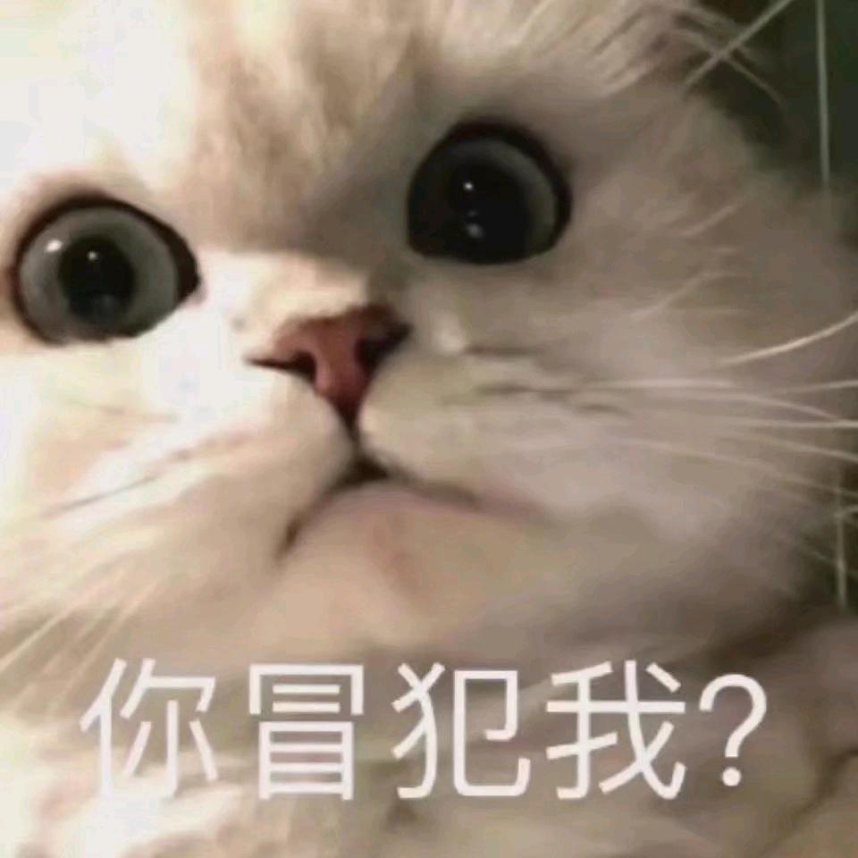 橘金气泡冰美式头像