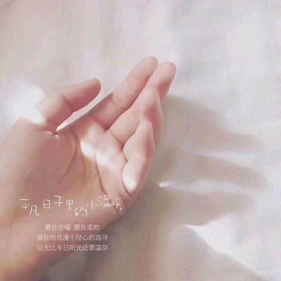 梦紫轩