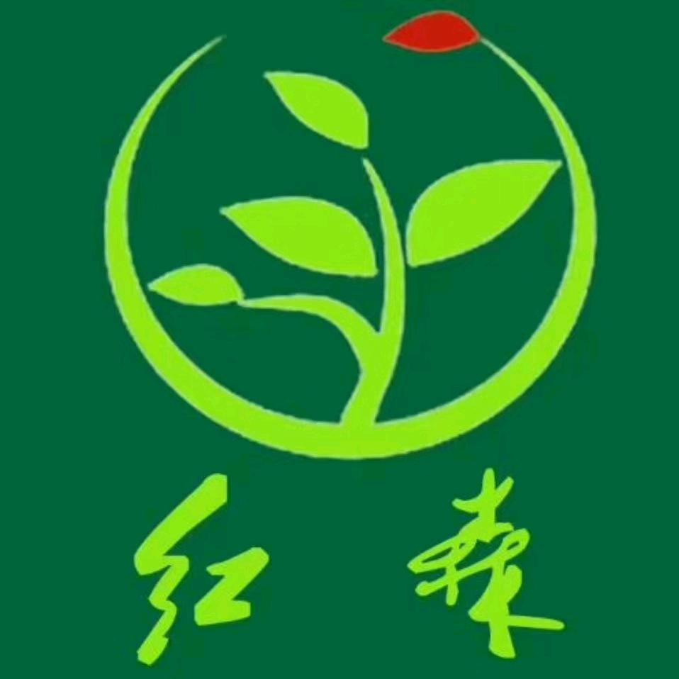 益阳红森园林～香樟&香橼