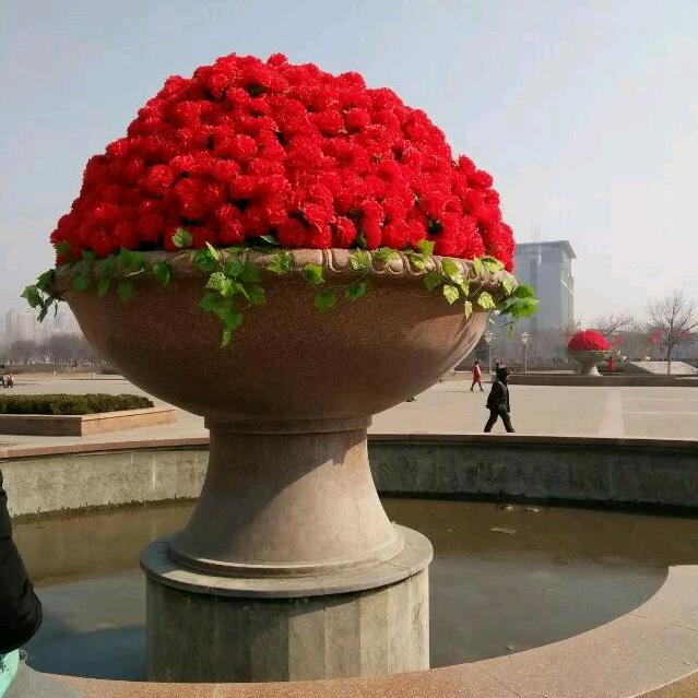 小牛🐂爱小牛🐂