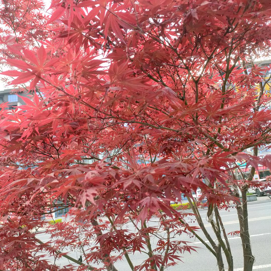 忘记过去从头再来