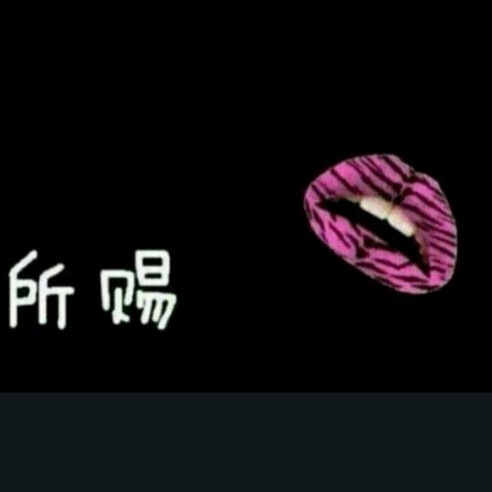 Match the dog foreve