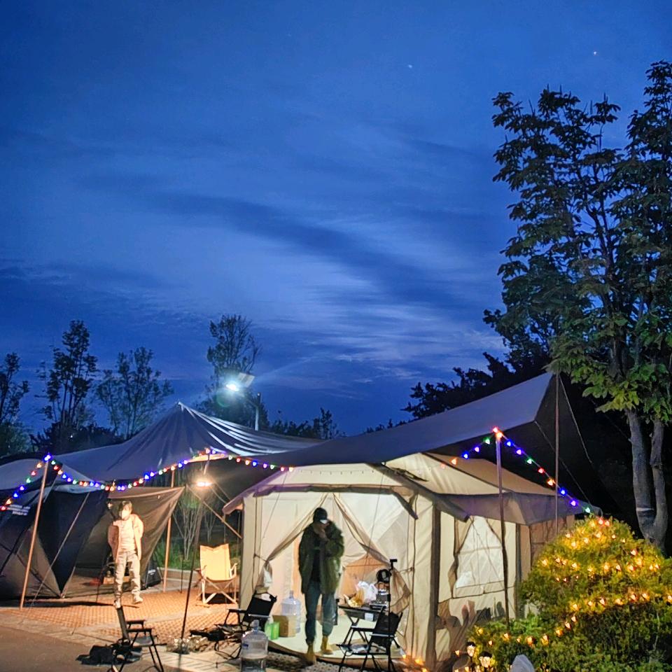 老苗的平凡生活