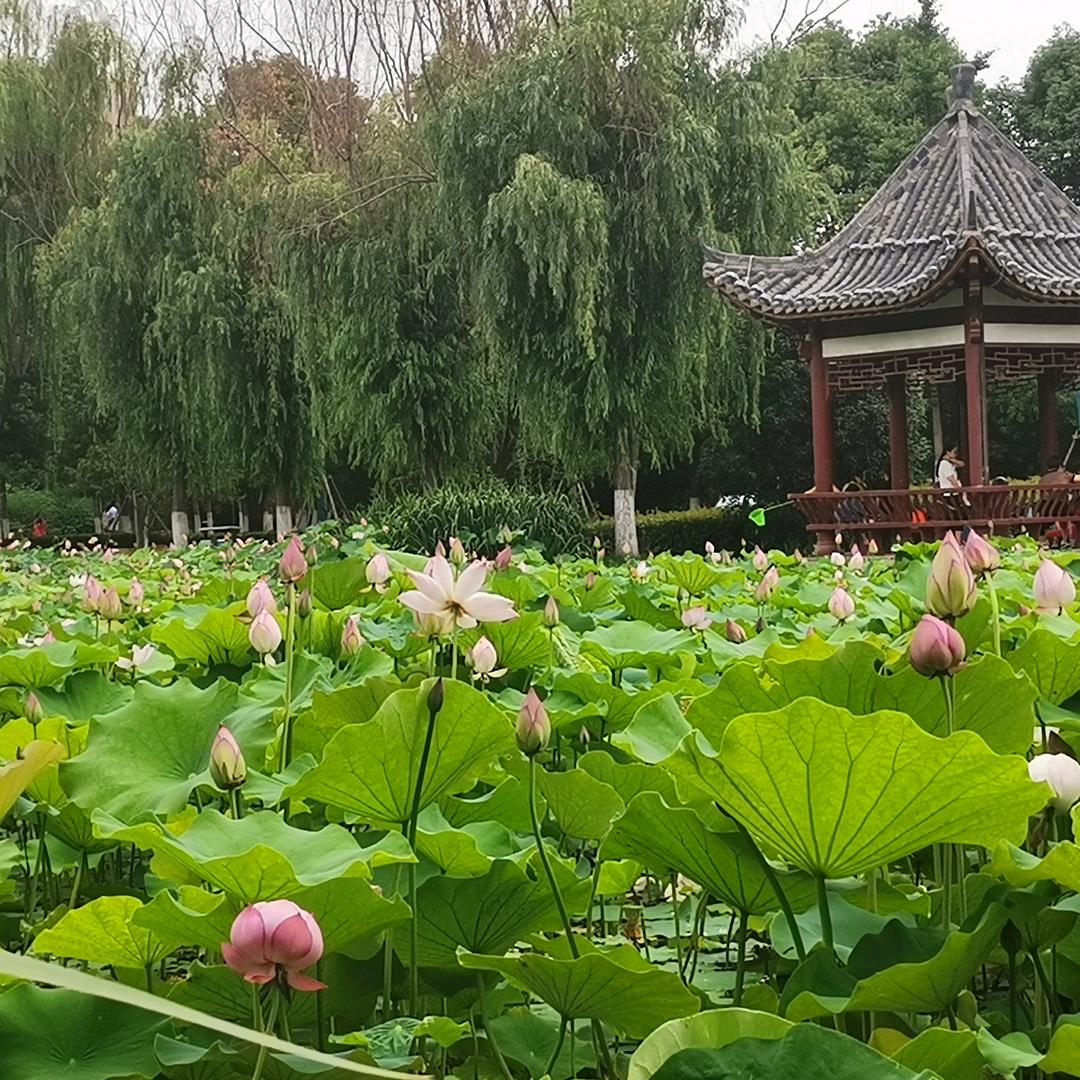 往后余生善待自己🌻