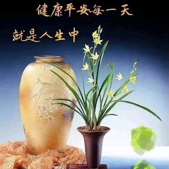 茶花