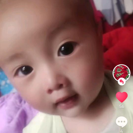 五妹妹