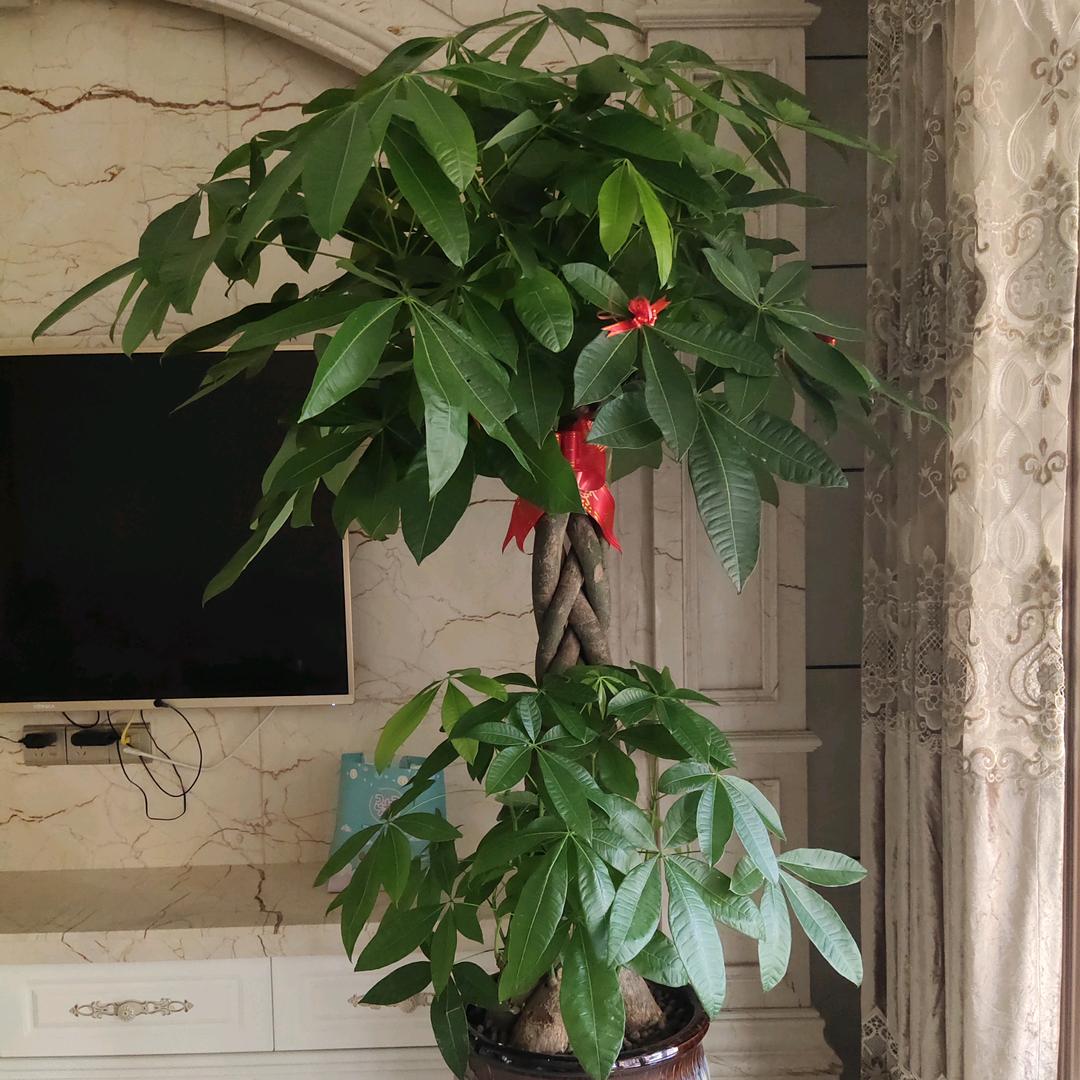 福州哥