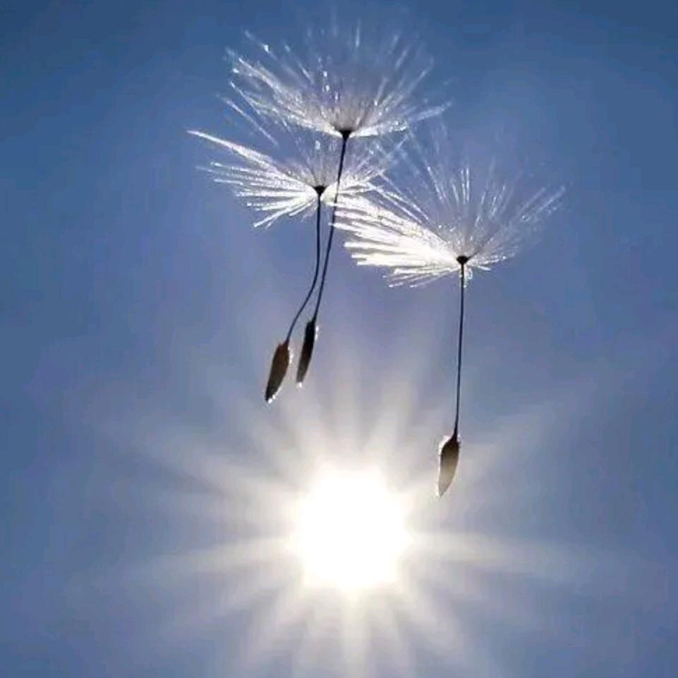 悠然自在
