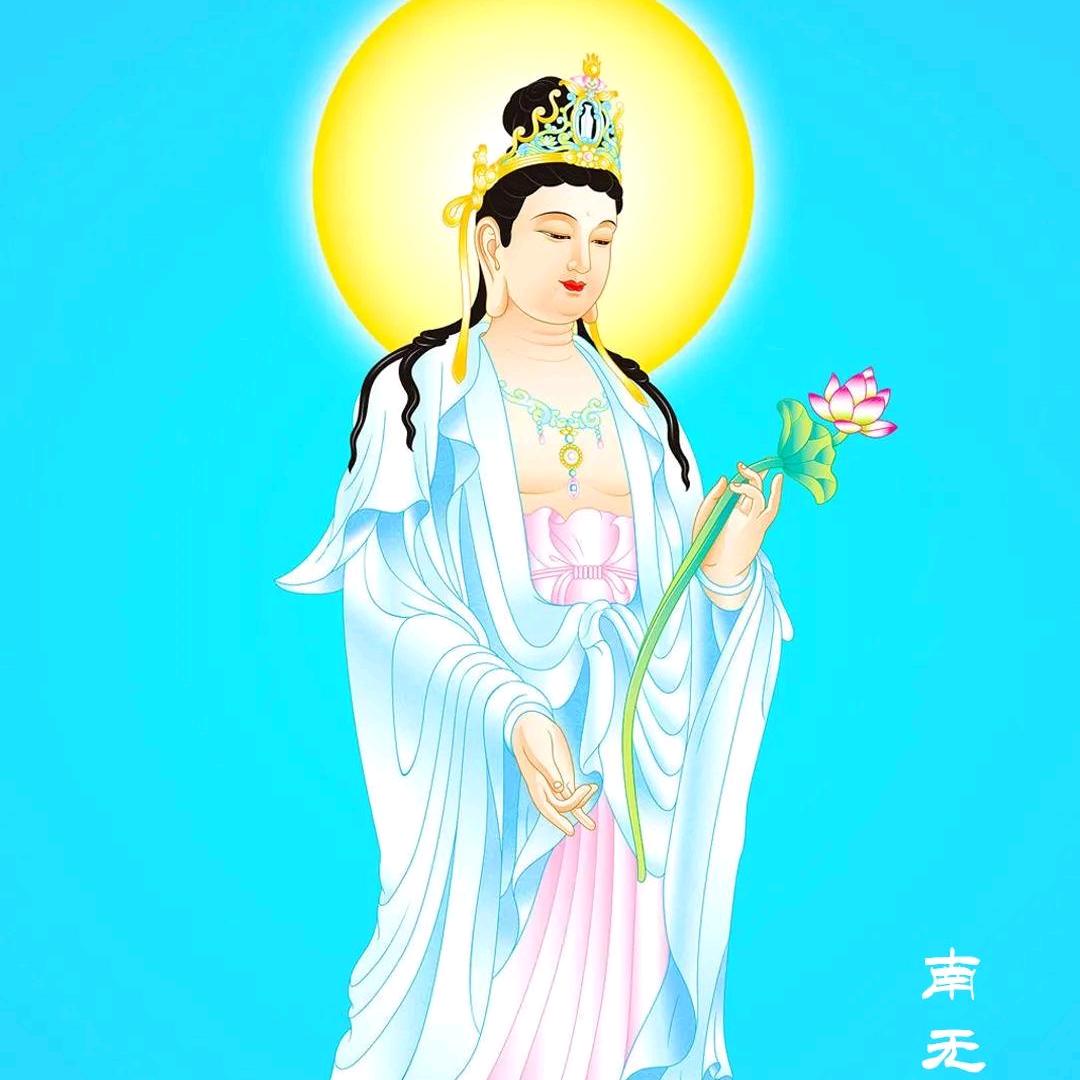 芹欣