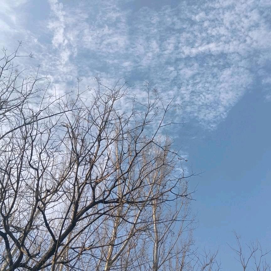 正能量主播