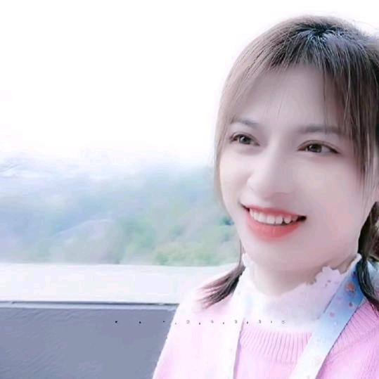 情有所爱