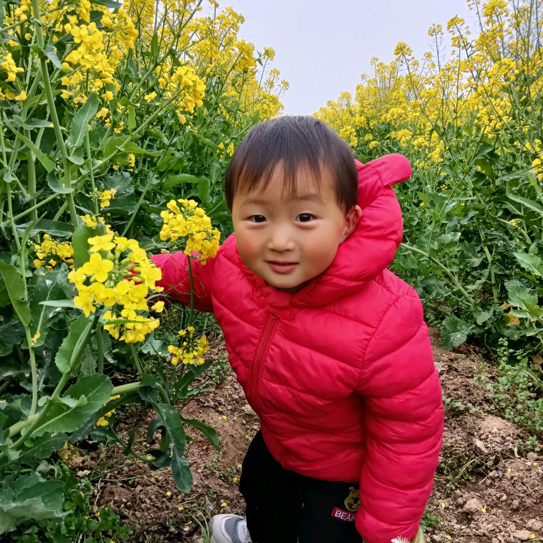 东山在起