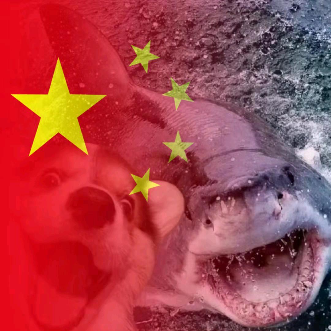 海浪haha